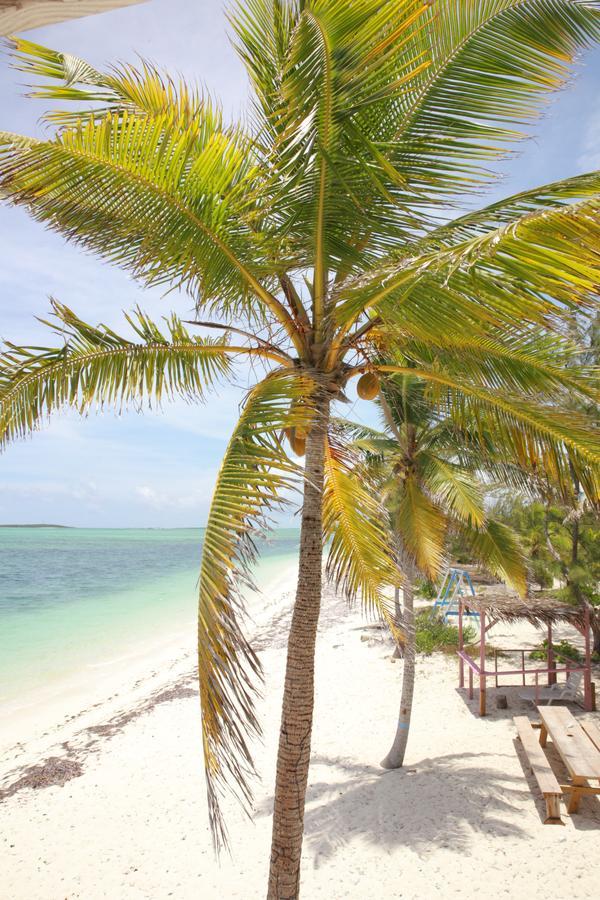 Exuma Point Beach Villas Rolleville Exterior foto